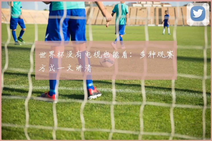 世界杯没有电视也能看：多种观赛方式一文讲清