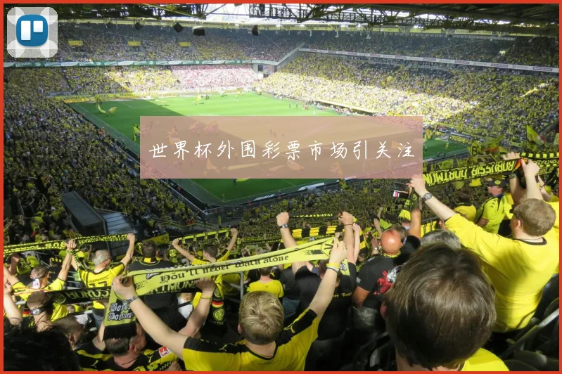 世界杯外围彩票市场引关注