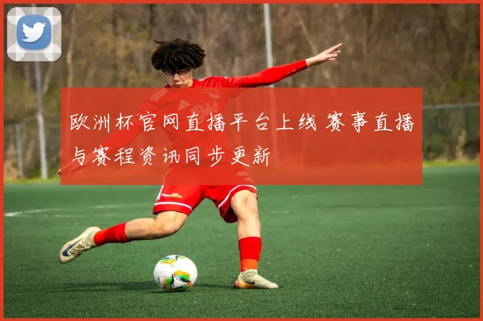 欧洲杯官网直播平台上线 赛事直播与赛程资讯同步更新