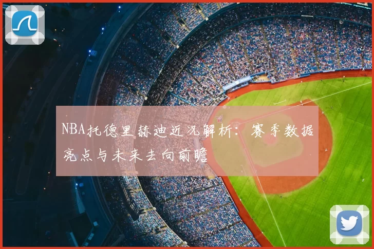 NBA托德里赫迪近况解析:赛季数据亮点与未来去向前瞻